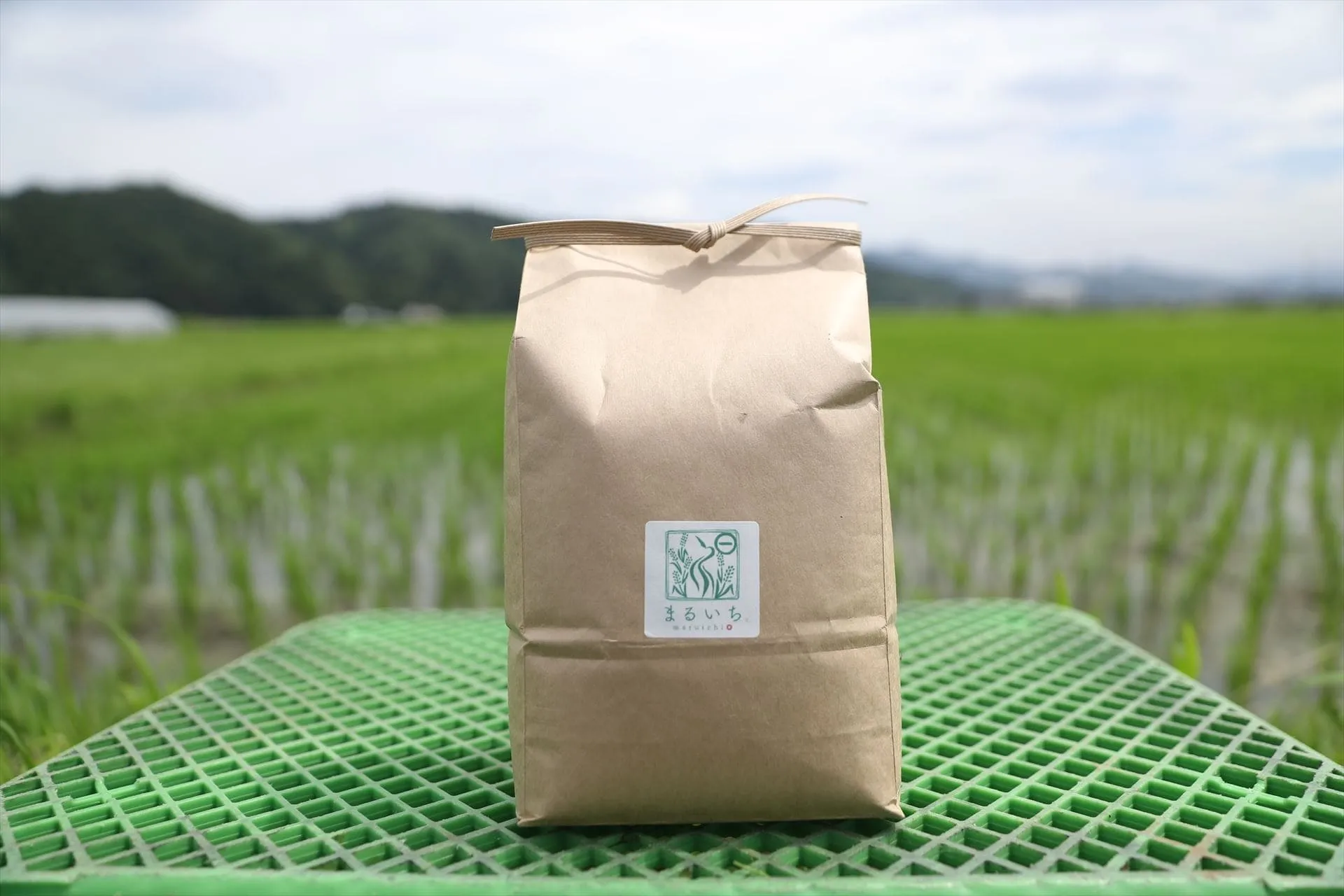 自然の力で育まれる無農薬米の魅力